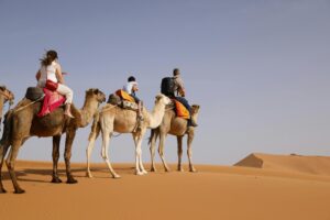Top 10 Rajasthan Heritage Tours in 2026